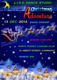 Christmas Adventure Poster